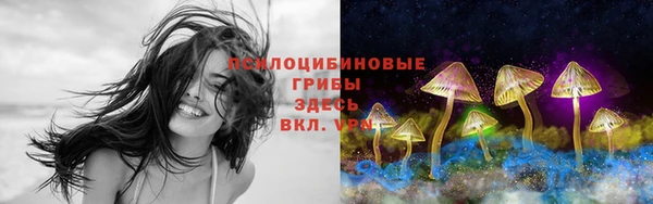 кокаин премиум Ладушкин