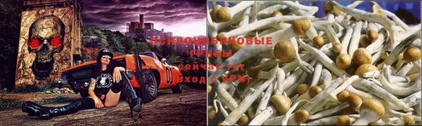 spice Лабытнанги