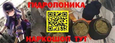 Альфа ПВП Комсомольск-на-Амуре