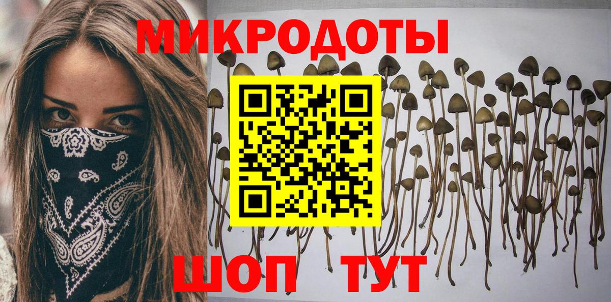 Черногорск  Галлюциногенные грибы прущие грибы  Вход с VPN 