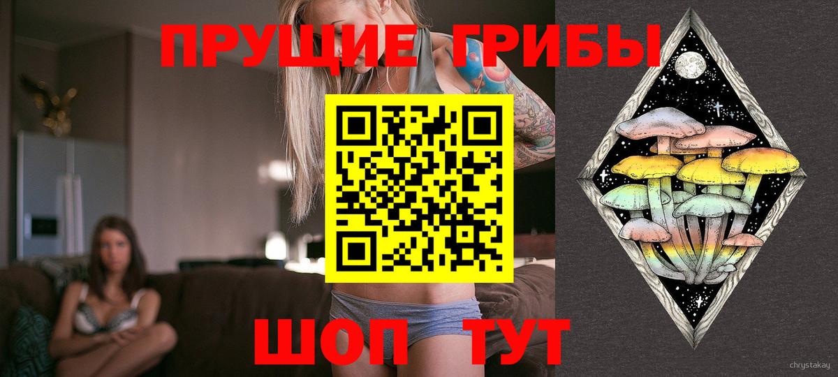 Псилоцибиновые грибы MAGIC MUSHROOMS  Черногорск  купить наркоту  Псилоцибиновые грибы Magic Shrooms 