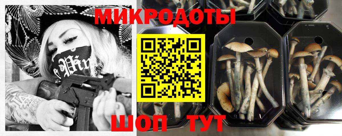 Псилоцибиновые грибы прущие грибы Черногорск