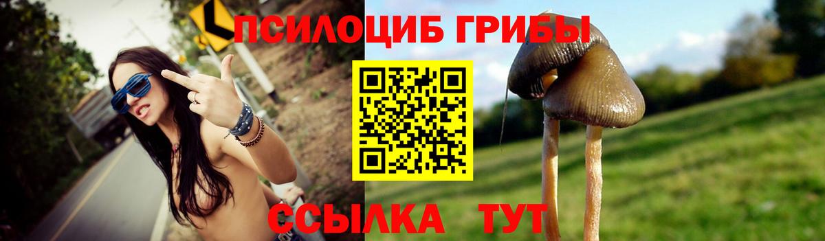 Меф кристаллы  Кокаин  MDMA  Черногорск  МАРИХУАНА  Вход с VPN  Бошки Шишки  ГАШИШ  Купить наркоту  МЕТ 